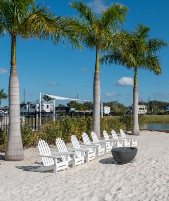 chairs under palm trees in Florida